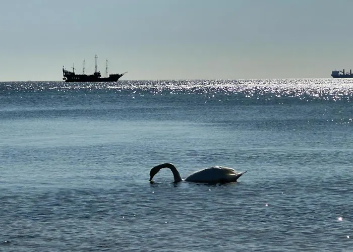 아파트 Orlowska Perla 그디니아