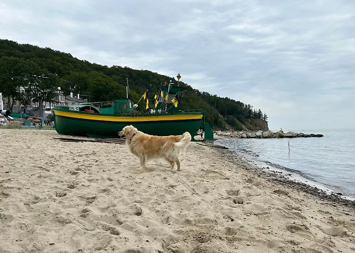 Orlowska Perla 그디니아